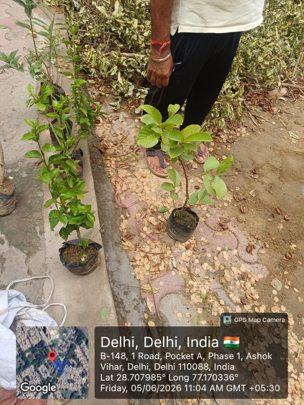 A Shikshadwar tree-plantation and environmental-awareness session at a Delhi school